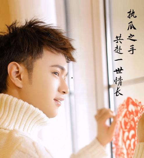 娱乐圈吃大瓜小说推荐